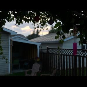 Meet your Posher, Anupama